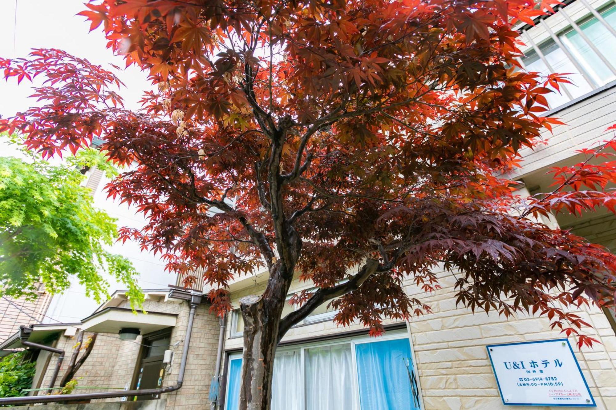 22, Itabashi, Entire House For Rent * โตเกียว